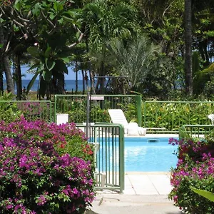 Fleurs Des Iles , Deshaies Guadeloupe